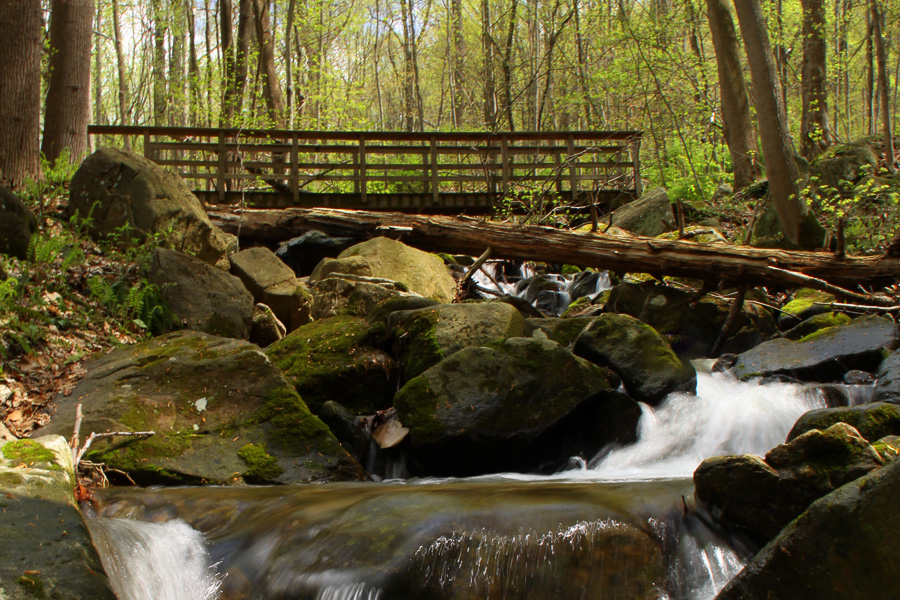 Holland Township